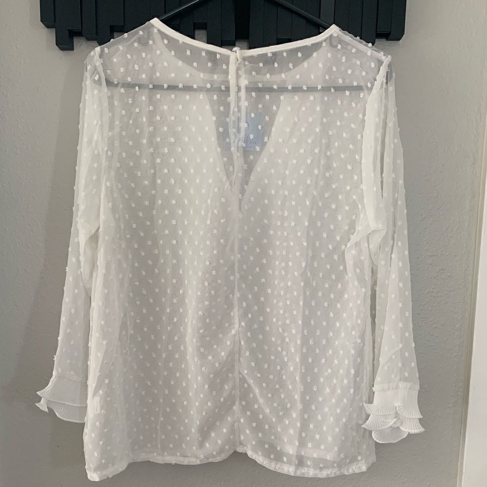 Beautiful Sheer Blouse - Picture 3 of 7